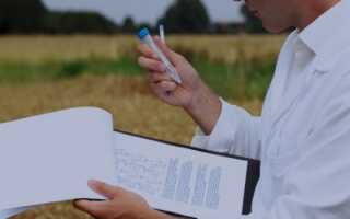 Бетонный апгрейд, увеличивающий сейсмостойкость зданий и сооружений