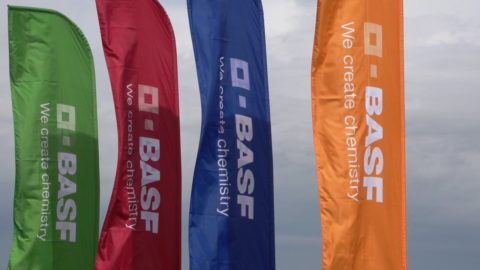 BASF – бренд с мировым именем BASF – бренд с мировым именем