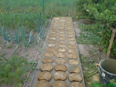 Древесные кругляки, уложенные в бетон