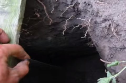 Измерение глубины