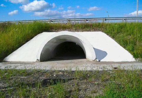 На фото труба арочной формы