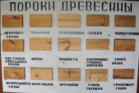 Погрешности древесины Погрешности древесины
