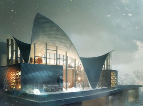 Проект с кровлей Hilo