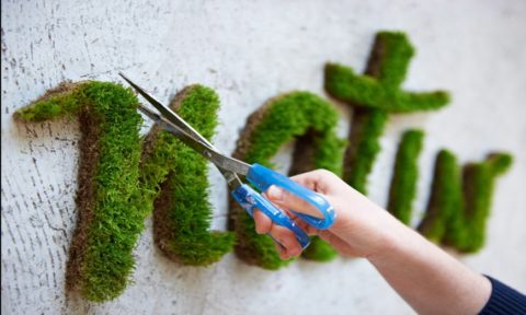 Прогрессивное строительство или природа? Прогрессивное строительство или природа?