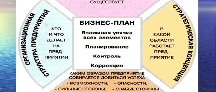 Программа бизнес-плана