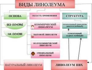 Виды линолеума